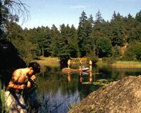 Baden am See